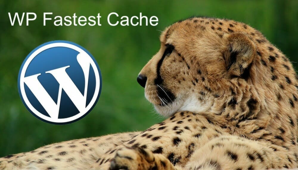 wp fastest cache - essential plugins